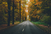 100+ New Hi-Res Autumn Photos, a Background Photo by moonloop (Thumbnail 4 of 13)