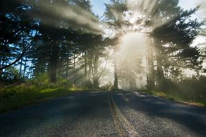 Point reyes headlands road stock photo containing point and reyes