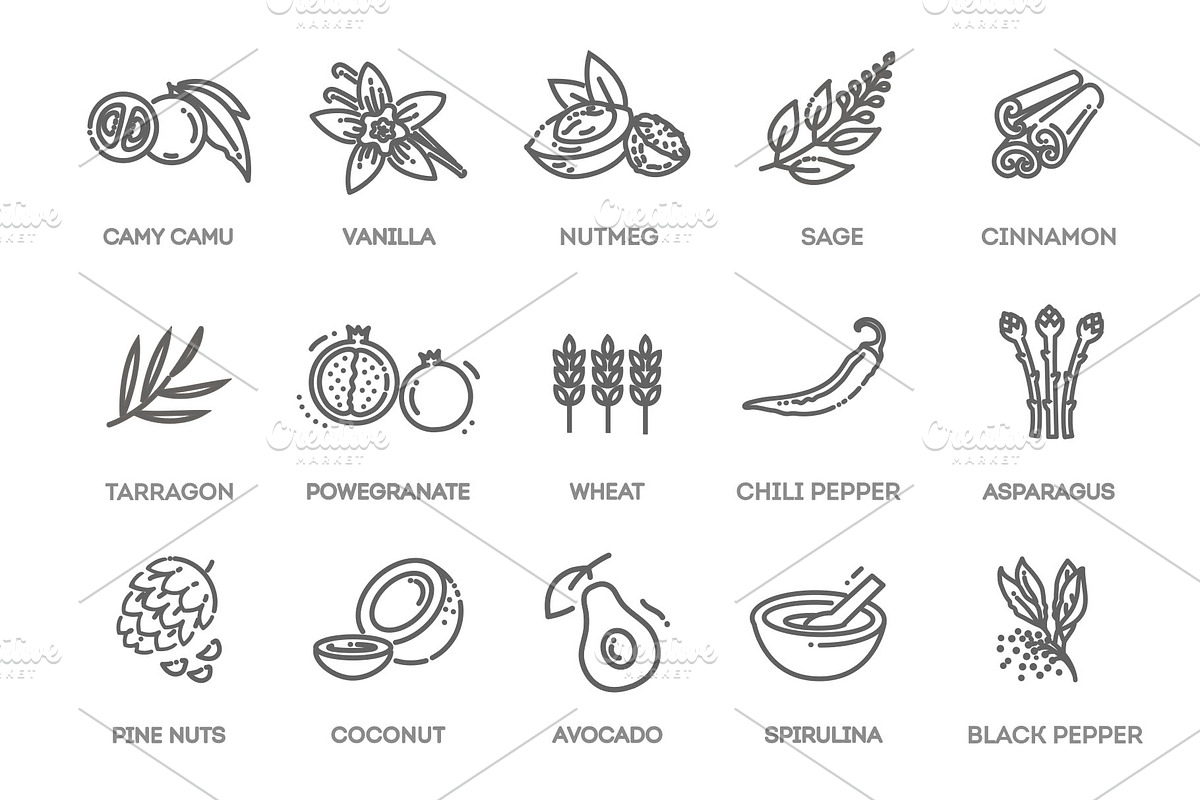 Antioxidant Food Icons, a Food Illustration by Tettygreen (Photo 3 of 3)