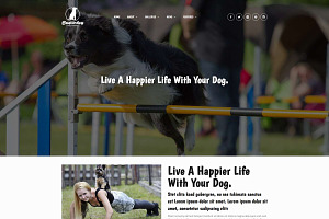 Superdog - Dog Training WP Theme