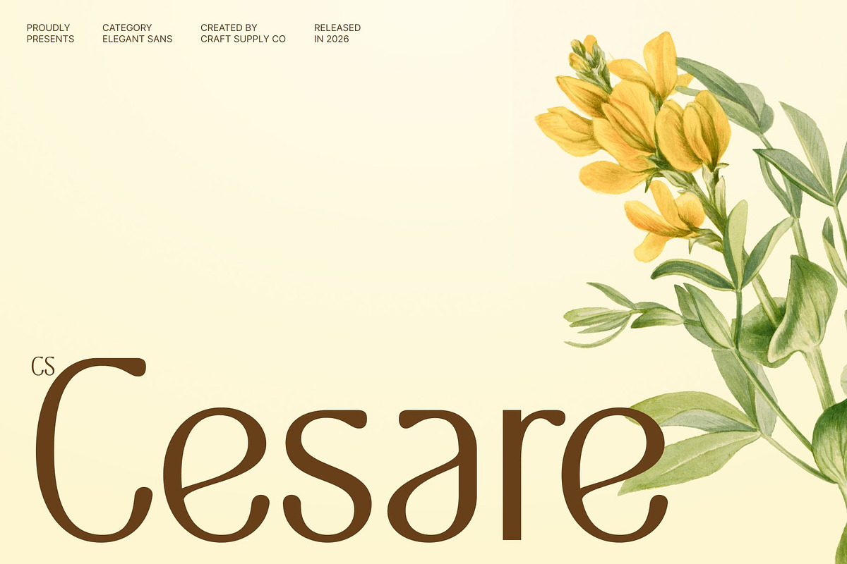 CS Cesare – Elegant Sans Serif, a Sans Serif Font by Craft Supply Co. (Photo 1 of 8)