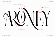 Aroney Family | 5 Style Fonts, a Serif Font by IM Studio (Thumbnail 12 of 12)