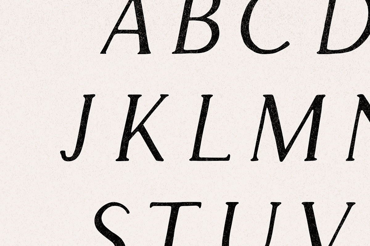 Apricot - Handlettered Serif Font preview 6