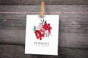 DISCOUNT PEONIES & ROSES (Clipart), a Decorative Illustration by ollalya (Thumbnail 5 of 8)