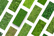 20 Seamless Grass Texture Pack, a Texture Graphic by Top Textures (Thumbnail 8 of 9)
