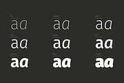Gardenia Typeface 85%OFF, a Font by W Type Foundry (Thumbnail 3 of 14)