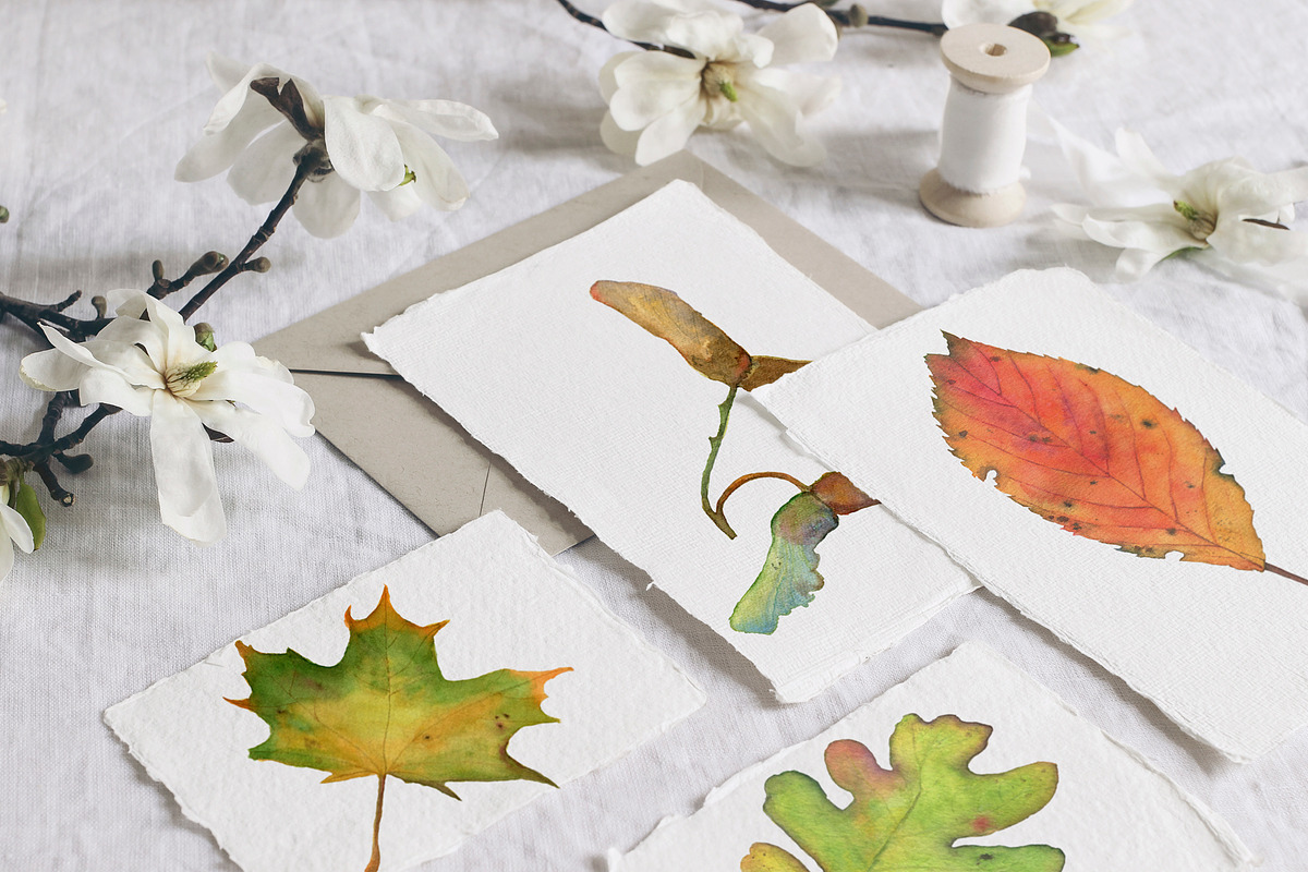Watercolor: set of forest elements, a Graphic by WatercolorAnn (Photo 3 of 13)