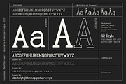 Multigenum - Serif font family, a Serif Font by Artistic & Unique (Thumbnail 5 of 15)