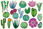 20 hand drawn cactuses & succulents, a Decorative Illustration by pixelwerk (Thumbnail 2 of 5)