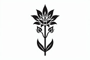 Elegant Floral Bundle, an Illustration by hafijul (Thumbnail 6 of 21)