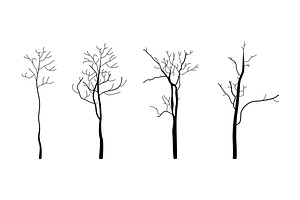 Tree branch3