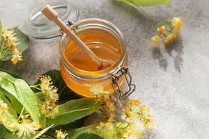Linden honey jar with wooden dipper and fresh flowers, a Food & Drink Photo by Olena Rudo