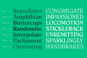 Reloka, a Serif Font by Locomotype (Thumbnail 7 of 12)