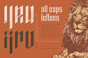 The Versatile Font Bundle, a Sans Serif Font by AlienValley (Thumbnail 106 of 141)