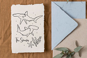 Shark Line Art PNG SVG, an Animal Illustration by ArtGiftsStudio (Thumbnail 4 of 5)