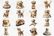 Golden Retriever Clipart Bundle, an Animal Illustration by Bijou Bay (Thumbnail 2 of 4)
