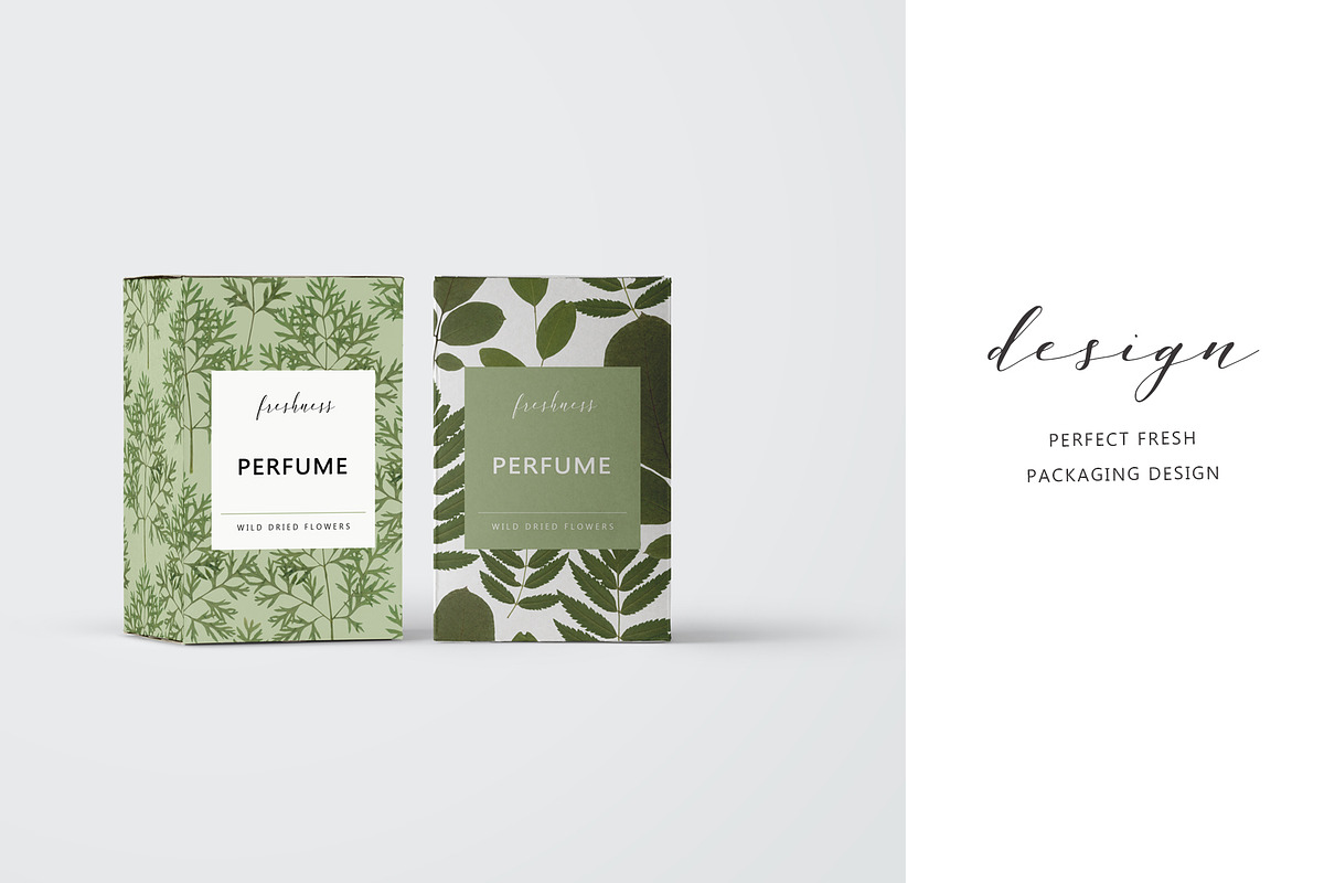 Pressed Dry Flowers & Leaves, an Object Graphic by Katya_lu (Photo 6 of 8)