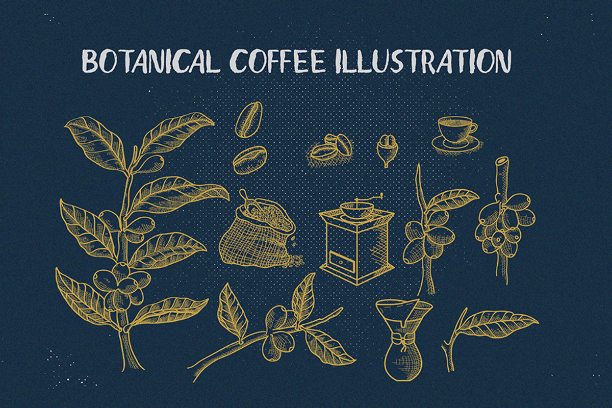 Castela (3 fonts with extras), a Script Font by Angin Studio (Photo 9 of 13)