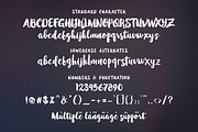 Winter Brush, a Script Font by Barland Design (Thumbnail 7 of 9)