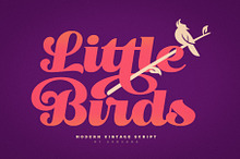 Little Bird Display Script