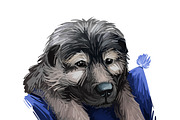 Puppies Dog Breeds Big Bundle 135Pcs, an Animal Illustration by Dneprstock (Thumbnail 20 of 68)