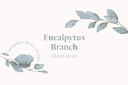 Eukalyptus Branch Watercolor, an Illustration by liebe.erika - Papeterie (Thumbnail 1 of 3)