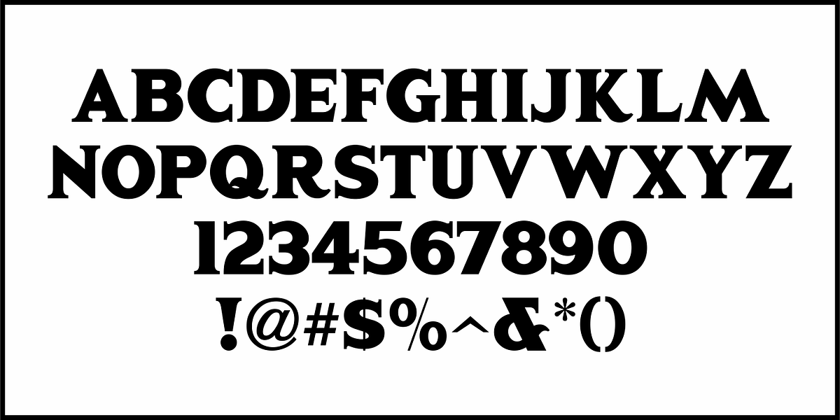 Legal Brief JNL, a Serif Font by Jeff Levine Fonts (Photo 3 of 5)
