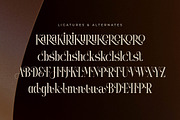 Mystequ New Modern Display, a Serif Font by Storytype Studio (Thumbnail 13 of 15)