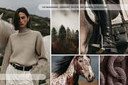 Dark Equestrian | 200 stock images, an Animal Photo by Tale.Haus (Thumbnail 13 of 13)