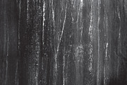 Wood Texture Backgrounds, a Photo by KT Art & Design (Thumbnail 11 of 11)