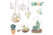 Wedding Succulents Floral clipart, an Illustration by GraphicMarket (Thumbnail 2 of 3)
