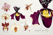 Hand drawn vector orchids, a Decorative Illustration by FleurArt (Thumbnail 4 of 11)