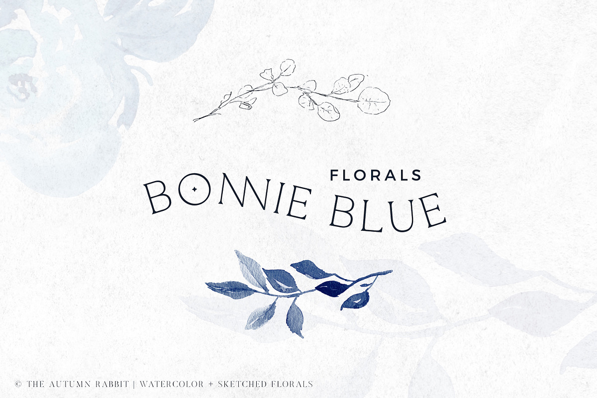Bonnie Blue - Botanical Clipart, an Illustration by The Autumn Rabbit Ltd (Photo 1 of 9)
