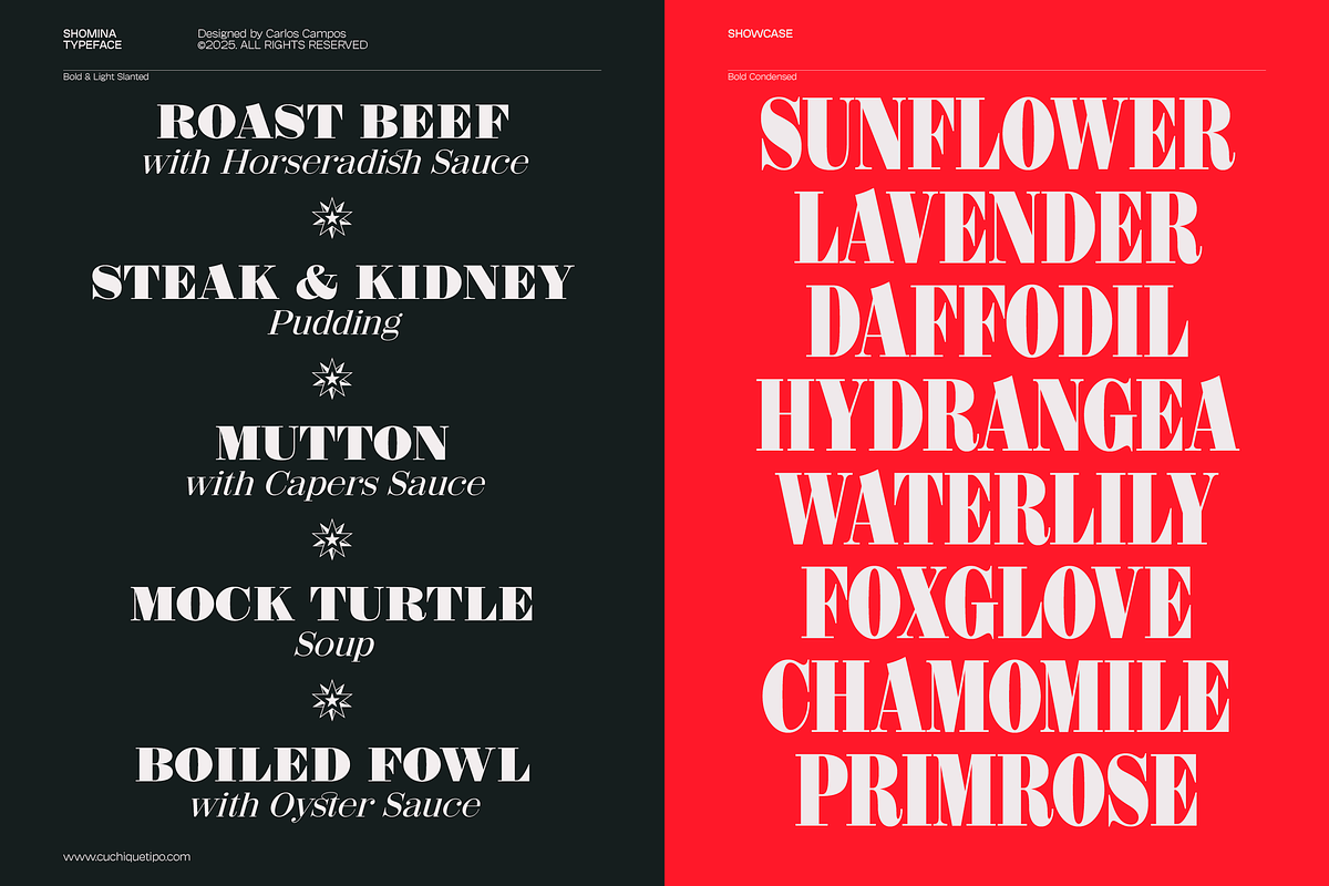 Shomina Font, a Serif Font by Cuchi, qué Tipo! Foundry (Photo 5 of 21)