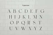Roylles | Ligature Stylish, a Serif Font by Muntab_Art (Thumbnail 9 of 13)