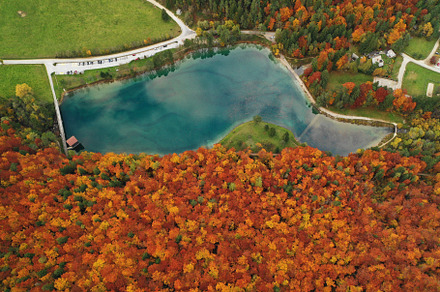 Beautiful autumn forest from above featuring hike, fallen, and evening, a Nature Photo by Dreamy Pixel