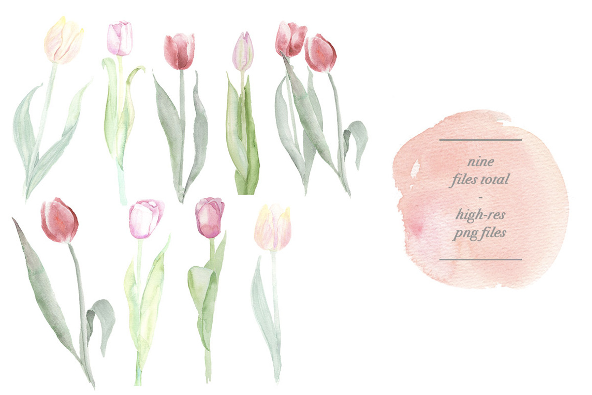 Spring Tulips, an Illustration by Instinct Design Co (Photo 2 of 2)