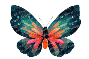 Colorful Butterfly Insect Clipart