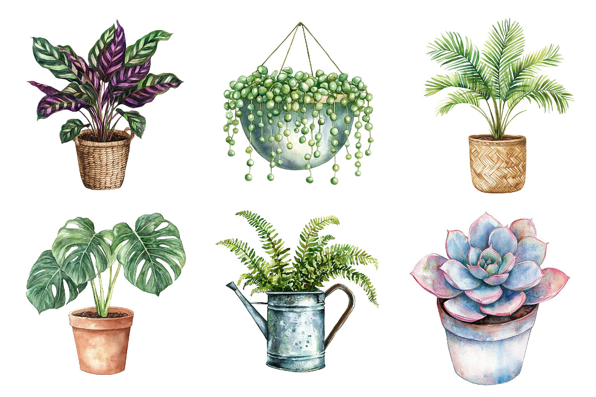 Watercolor Houseplant Clipart, an Illustration by CreationArt (Photo 5 of 5)