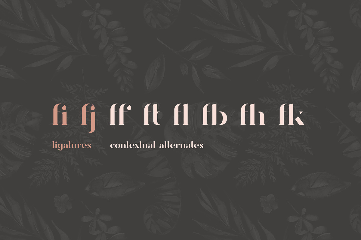 Davoa - Elegant Stencyl Typeface, a Serif Font by AlienValley (Photo 2 of 9)
