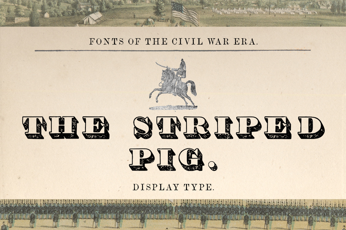 The Striped Pig Display Font, a Serif Font by New Blazing Star Press (Photo 1 of 3)