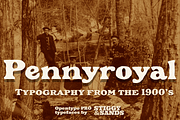 Pennyroyal, a Font by Stiggy & Sands (Thumbnail 1 of 9)