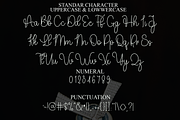 Amellia Family, a Handwritten Font by InermediaSTUDIO (Thumbnail 2 of 8)