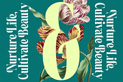 Magiction Modern Serif Display, a Serif Font by timelesstype.co (Thumbnail 6 of 20)