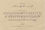 Mattrile Vintales Beauty Calligraphy, a Script Font by Storytype Studio (Thumbnail 14 of 15)