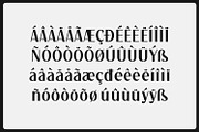 Mayrean - Modern Stylish Sans, a Sans Serif Font by Variatype (Thumbnail 7 of 7)