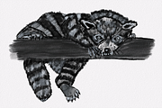 Procreate Charcoal Brush Set, a Brush Add-On by Brush Moment (Thumbnail 7 of 9)