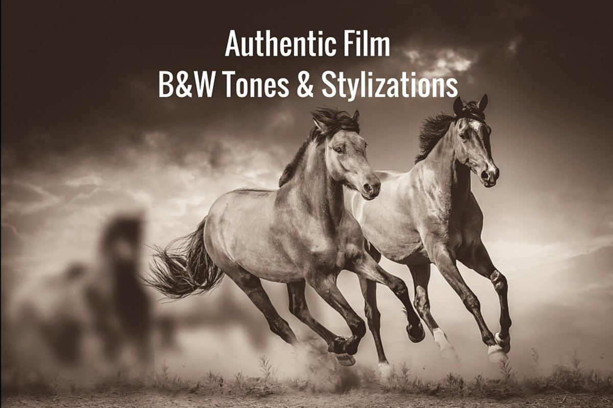 B&W Lightroom Presets Bundle, an Action Add-On by Lightroom Preset Shoppe (Photo 3 of 5)