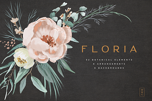 Floria - Botanical Elements