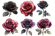 Gothic Roses Clipart PNG, an Illustration by SinaCreation (Thumbnail 3 of 5)